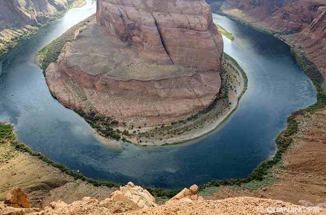 台湾的鸡为什么不下蛋了?真正原因令人寒心!