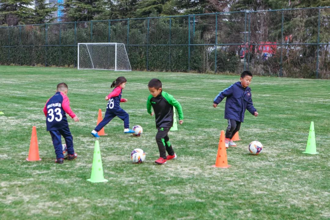 寒假集训营,寒假集训营火热进行中