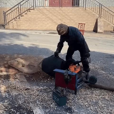 神回复：老鼠贴粘到的，吃了不会犯法吧？网友：自首，争取死缓