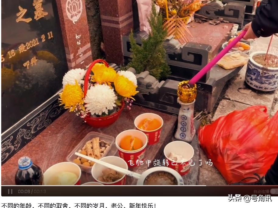 杜新枝杜新鹏,杜新枝新年作品