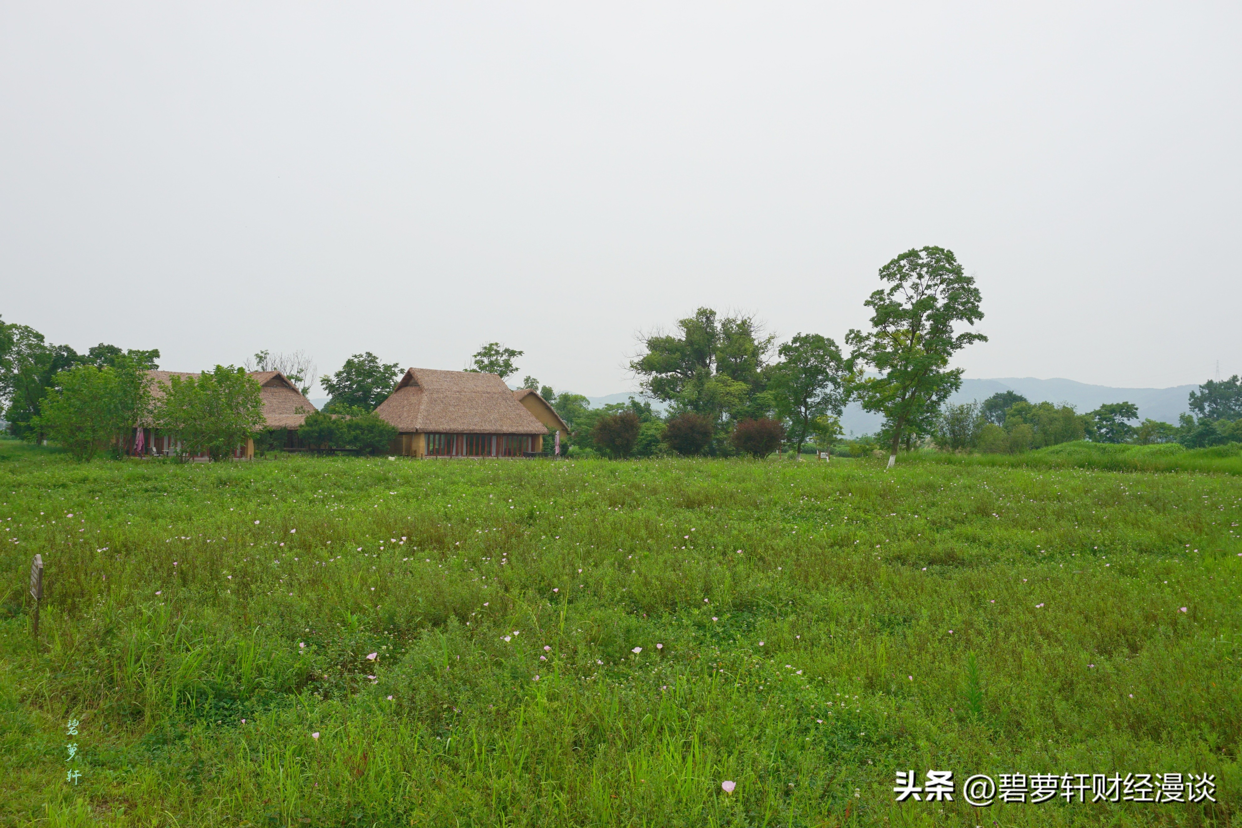 穿越5000年漫步良渚古城遗址公园,穿越千年探秘南粤