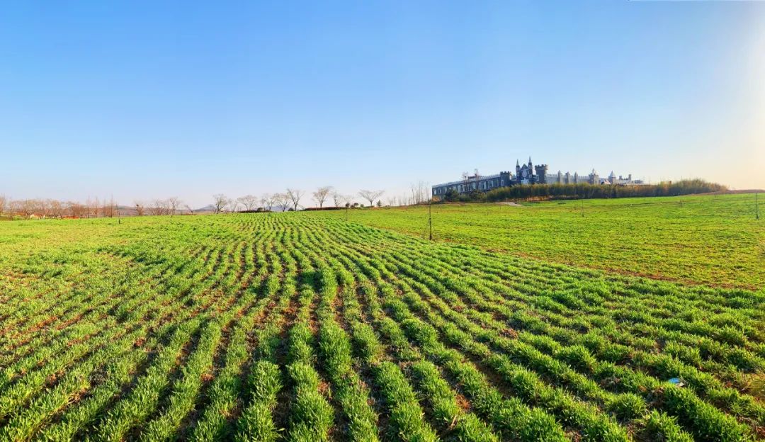 示范家庭农场申报推荐表填写,家庭农场财务网上申报怎么报