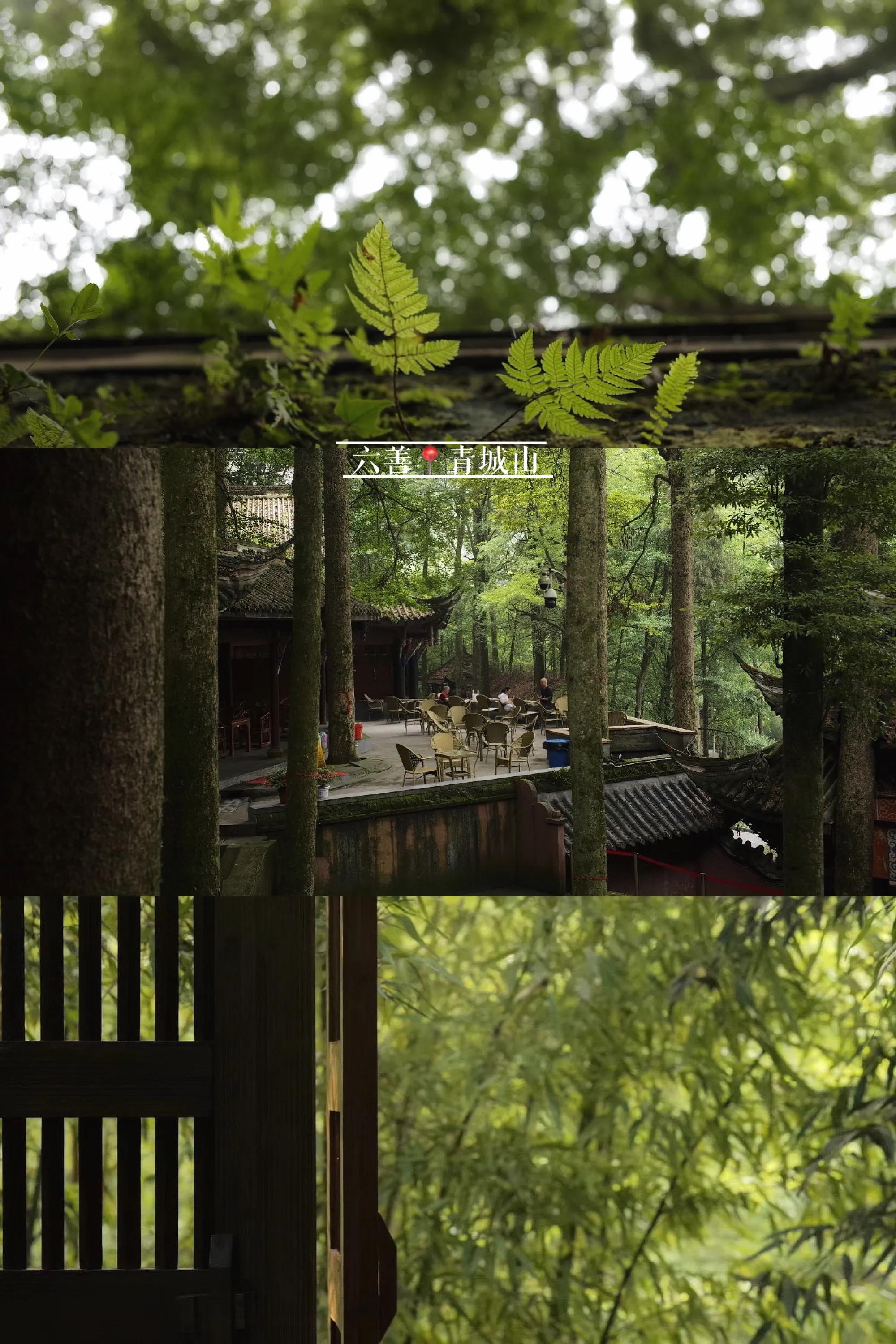 青城山六善度假酒店视频,青城山六善度假酒店