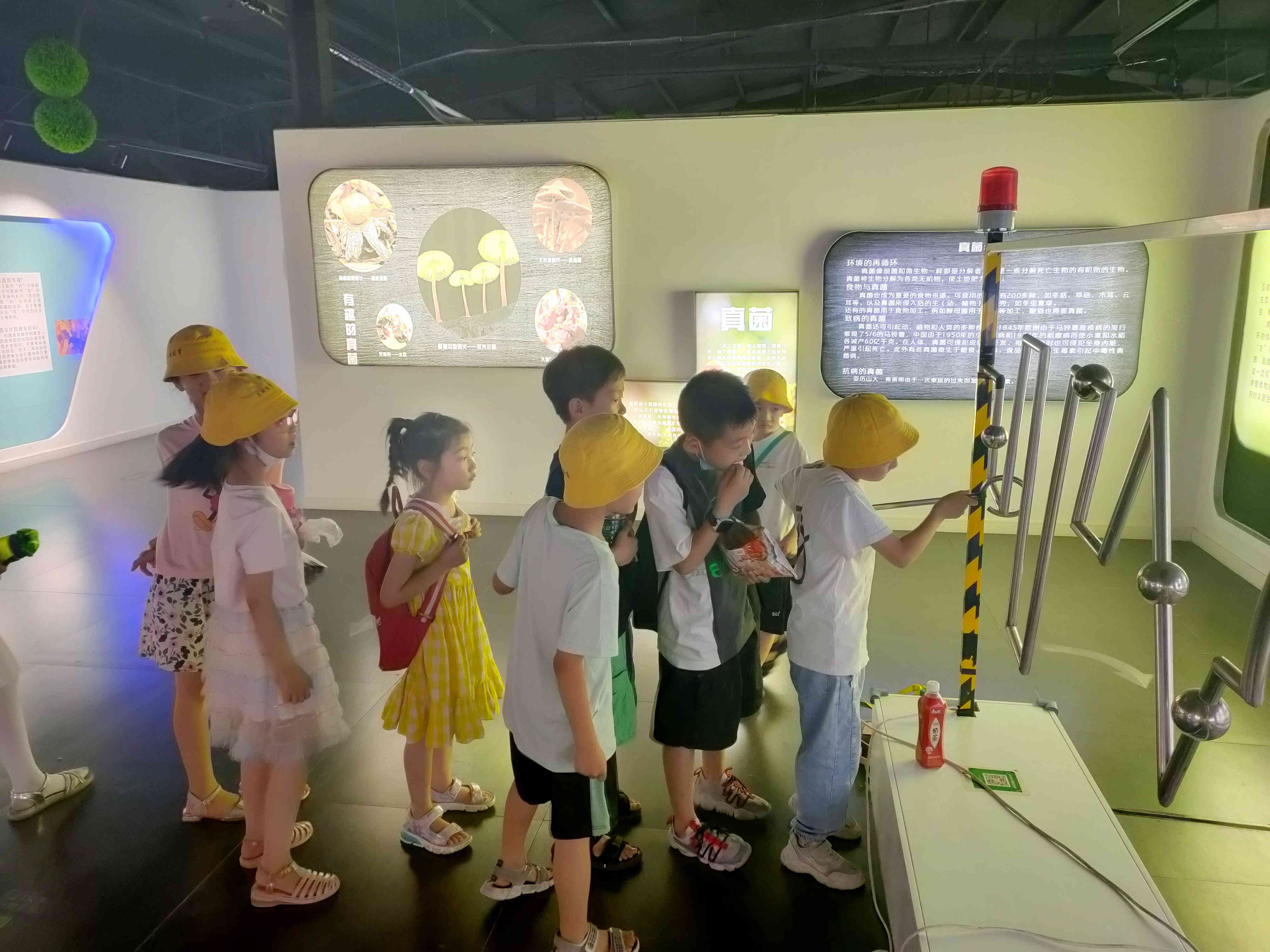 郑州遛娃免费景点大全,郑州市区免费遛娃好去处