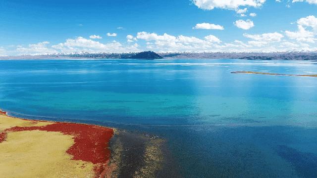 绌胯秺鍥涘ぇ鏃犱汉鍖哄彲鍙タ閲岀涔濆ぉ,鍙彲瑗块噷鏋侀檺涔嬫梾
