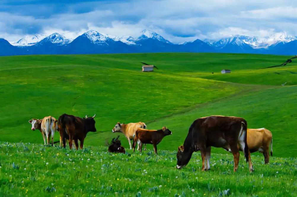 *合六**顺账户交易纪实（211130）