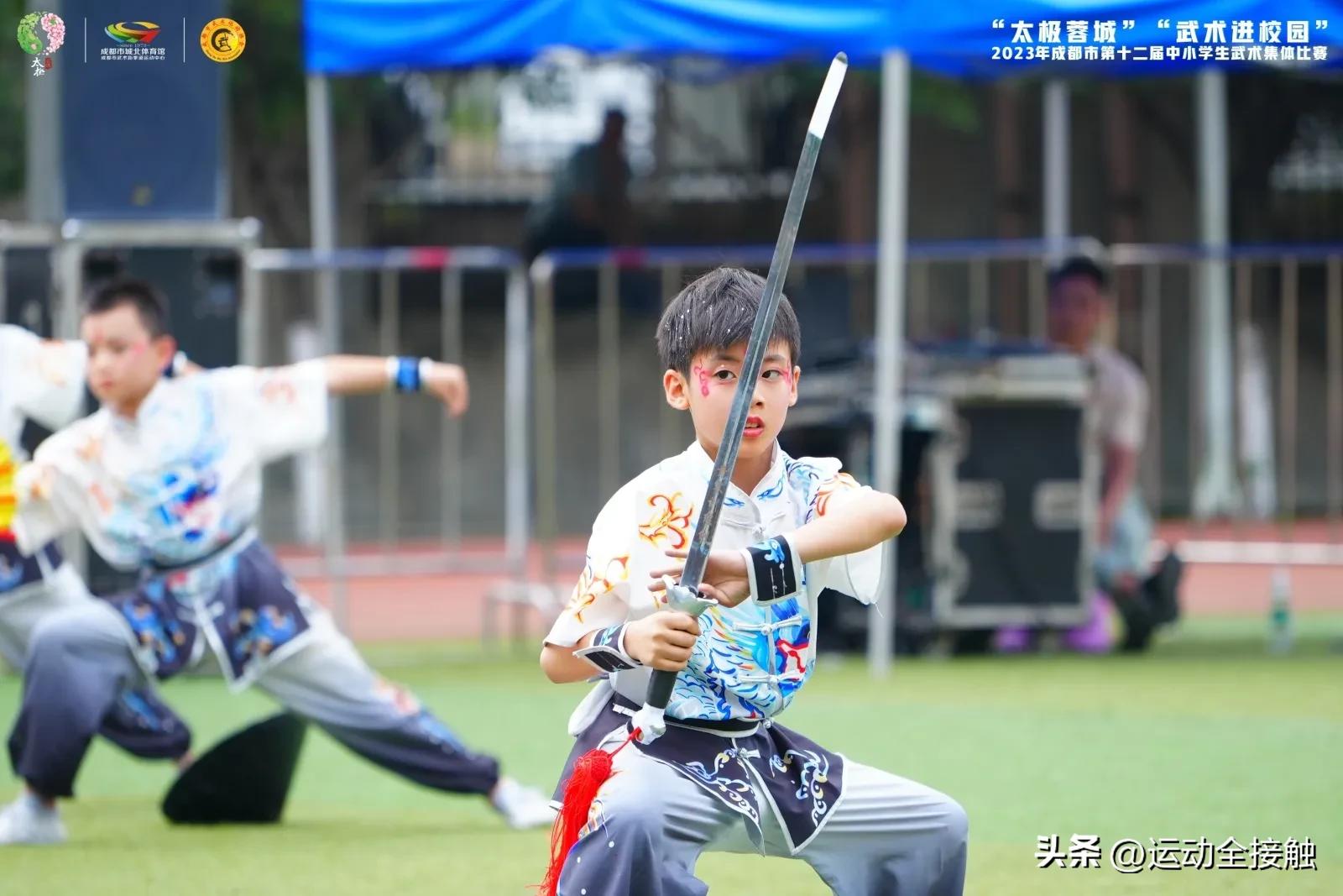 四川省学生武术公开赛,2019年四川省青少年武术比赛