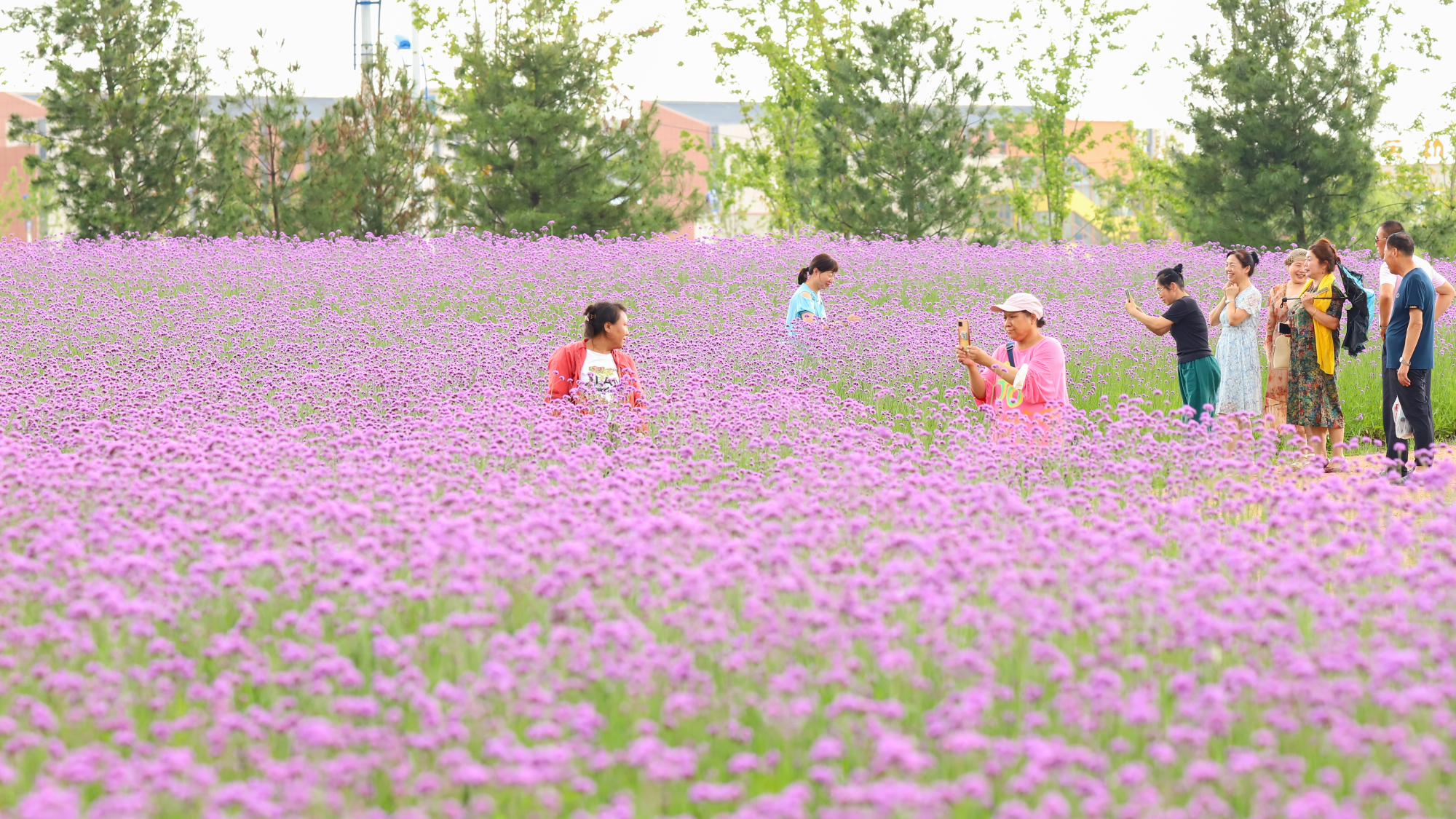 家乡的小城梅河口,东北吉林小城梅河口