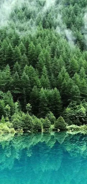 2022年五运六气壬寅年详细解释,2022年壬寅年虎年日历图片