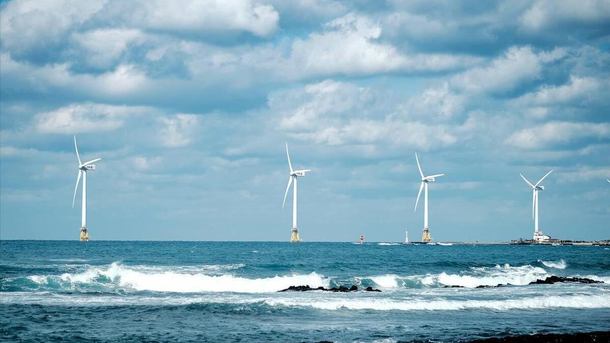 风电光伏为什么称之为垃圾电,为什么很多地方在拆除风电