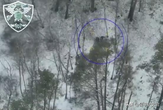 俄乌战争爆发前普京与拜登会面,美国总统拜登关于俄乌冲突的表态