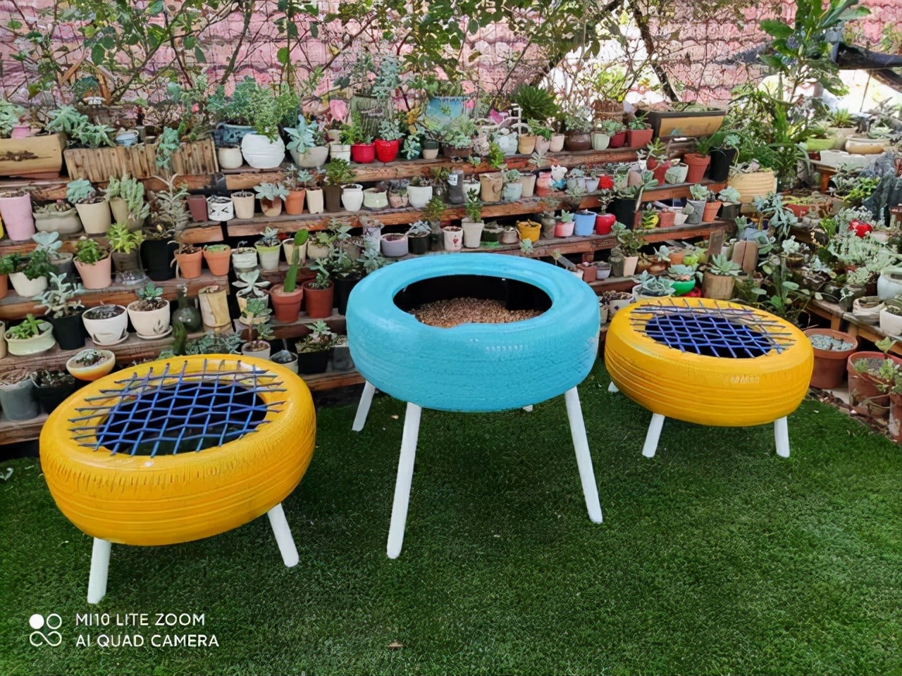 垃圾别丢，顺手改造个“花盆”，一年能省不少钱