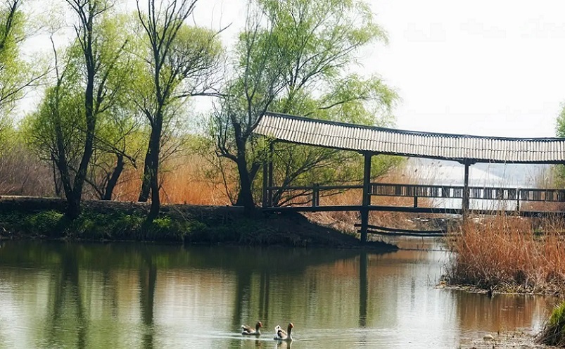 扬州最冷门老街,扬州旅游十大必去景点排行榜