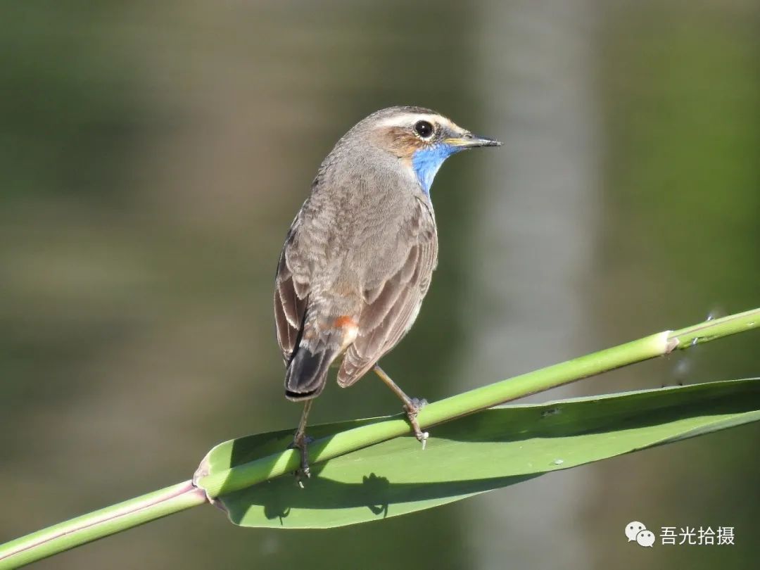 砂石坑什么时候挖出来,砂石石槽图片