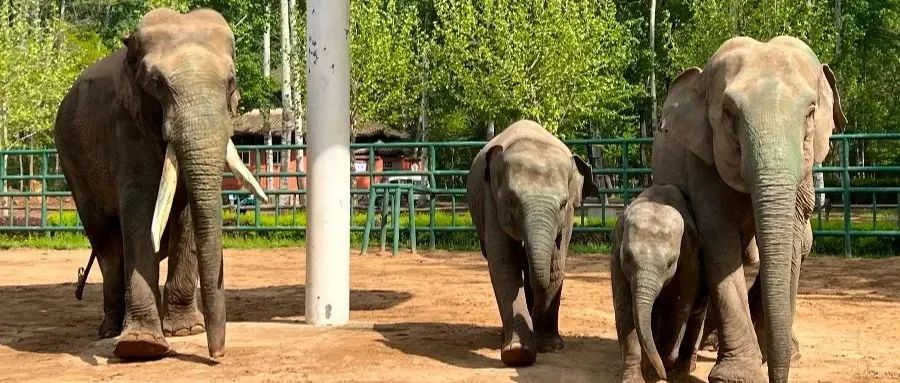 秦皇岛夏日美食攻略,去秦皇岛必吃的十种美食