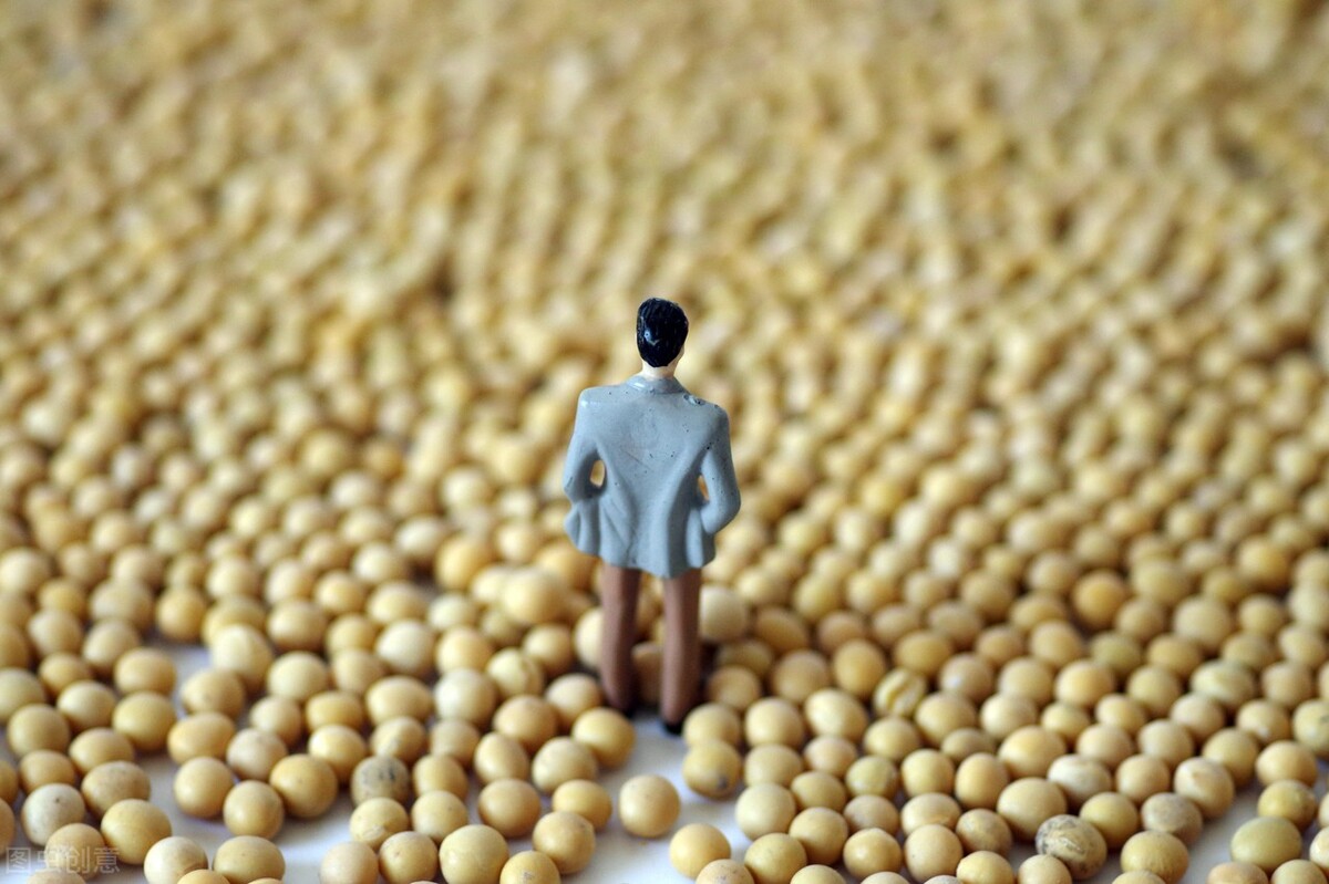 国内大豆和进口大豆价格,全中国大豆今日大豆价格