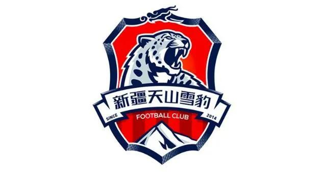 泾川文汇队真的被解散了吗,泾川文汇足球队后续成绩