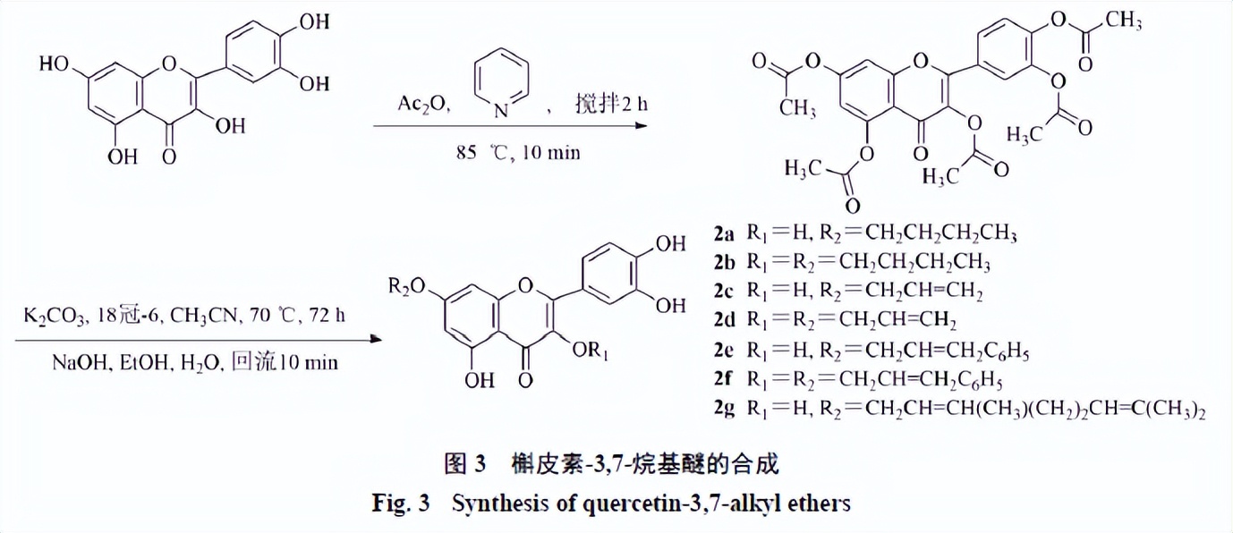槲皮素的氧化机理,槲皮素的有关药物活性成分