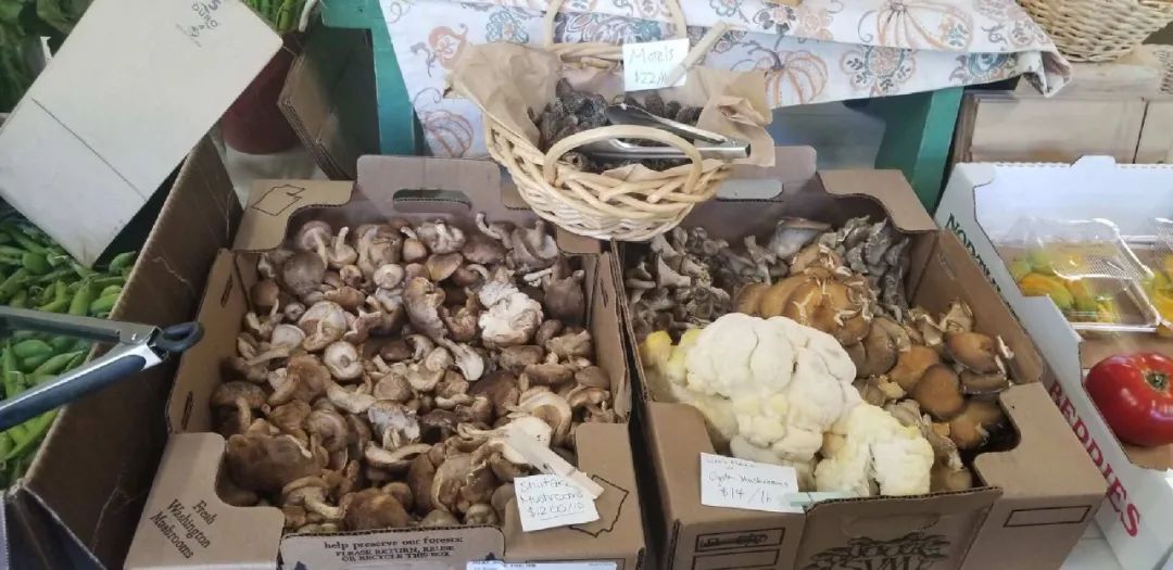 世界生态环境日,世界环境日森林地球日