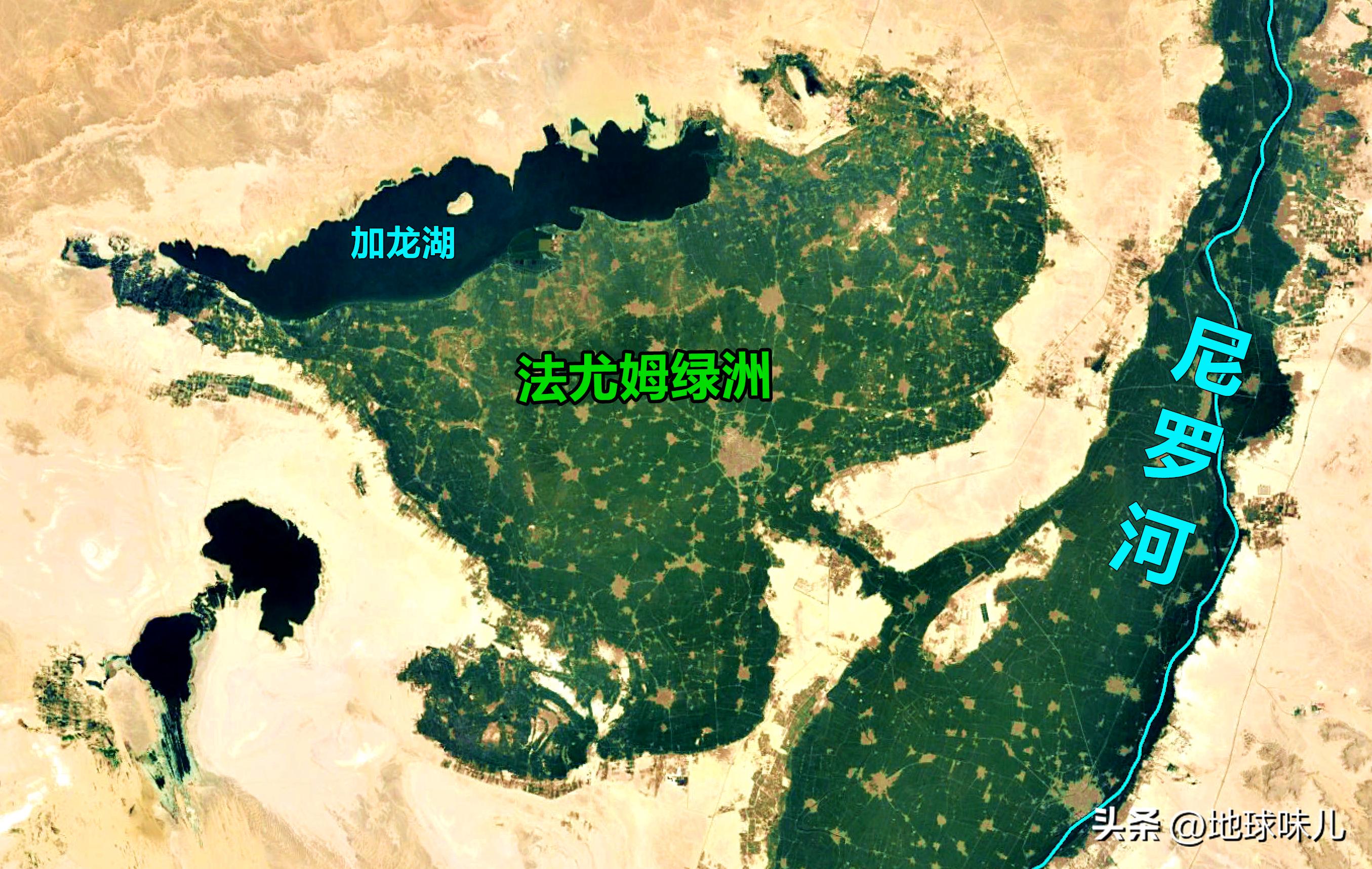 人口主要分布在尼罗河沿岸的原因,埃及5万平方公里土地养活1亿人