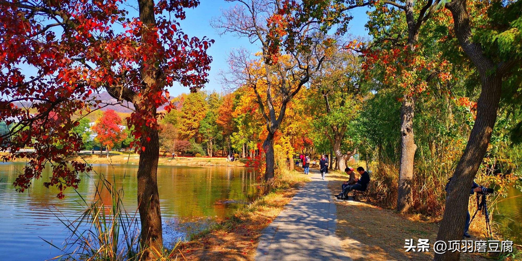 色彩疗法课程,颜色疗法