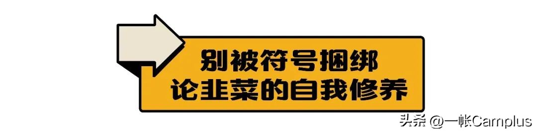 snowpeak发展史,snowpeak上海