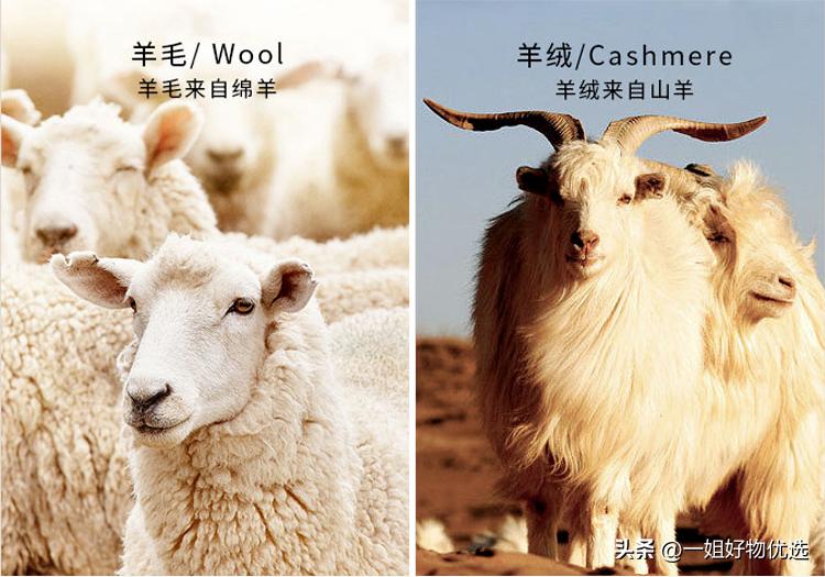 披肩羊绒围巾折扣,羊绒披肩围巾两用加厚