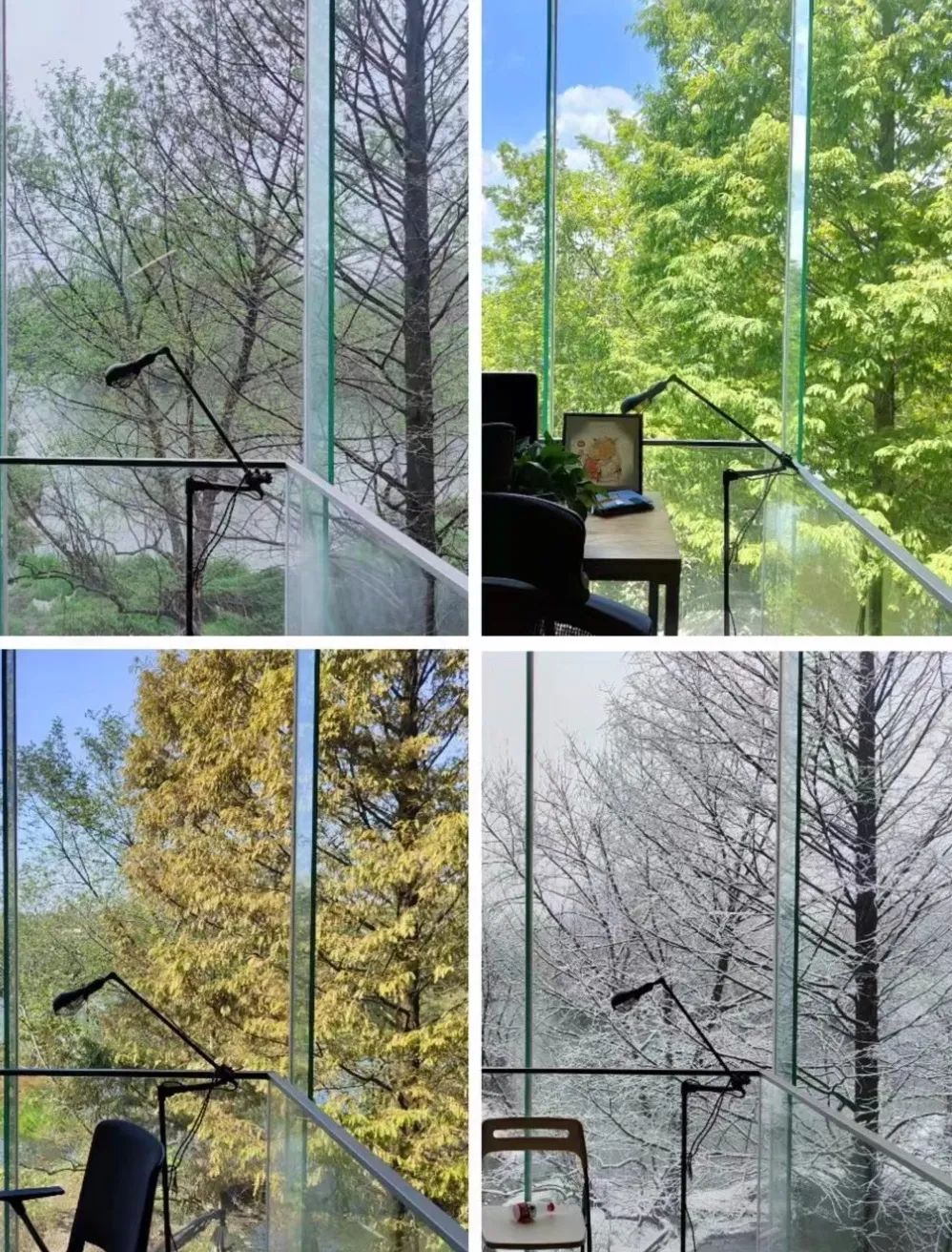 春天的潺潺溪水,春天的顶流