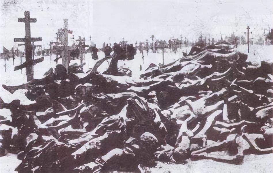 为保护一只狗杀掉所有人,为救爱犬和鳄鱼搏斗身亡