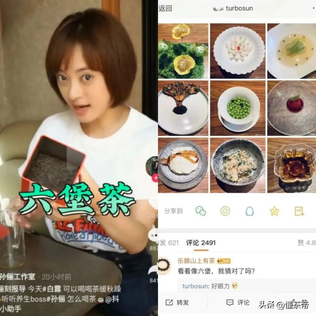 孙俪推荐的祛湿六堡茶,孙俪六堡茶功效与作用