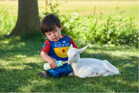 佳贝艾特悦白2段奶粉测评,佳贝艾特奶粉悦白是金装吗