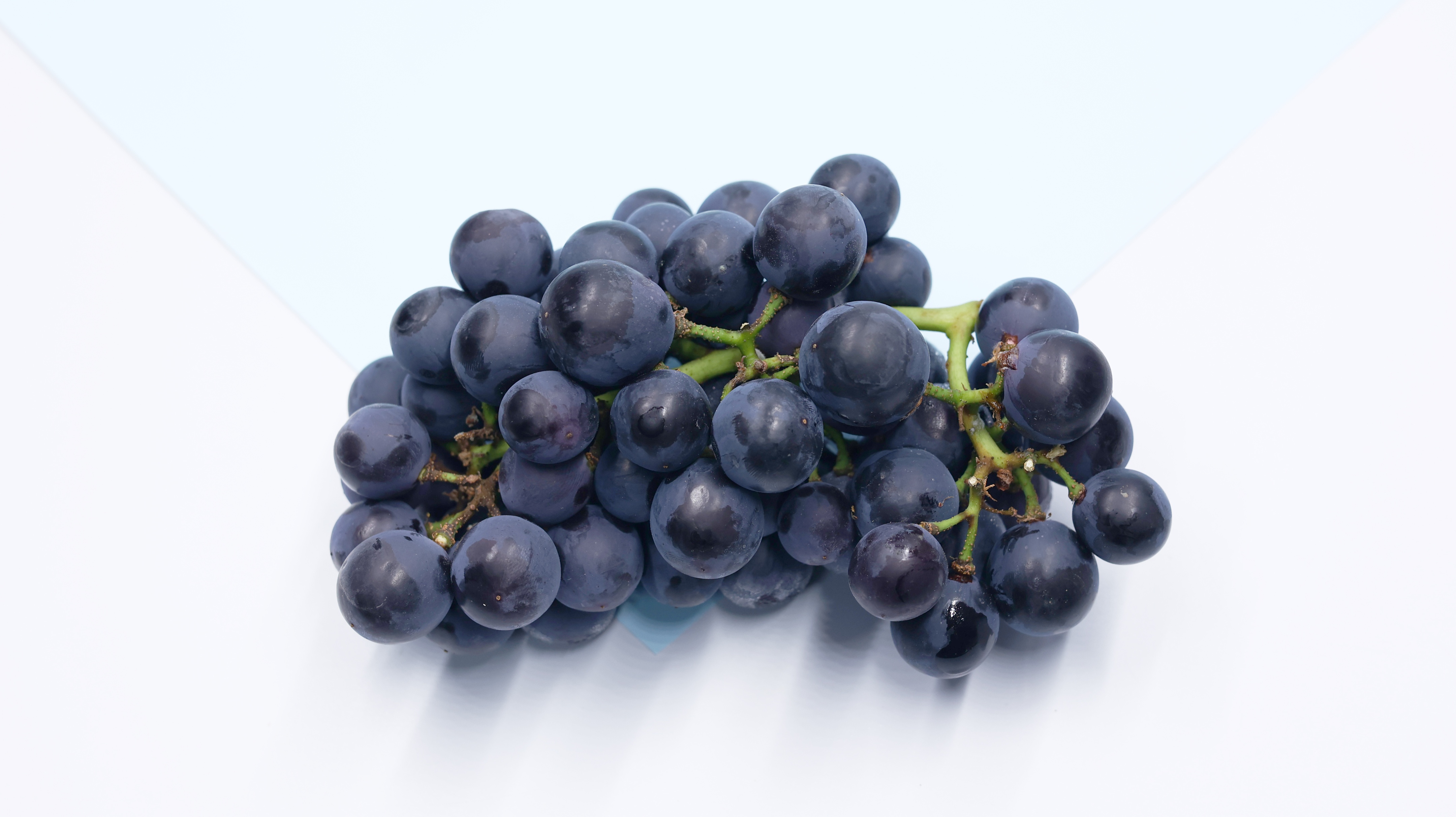 长期失眠的神药,失眠天然药物