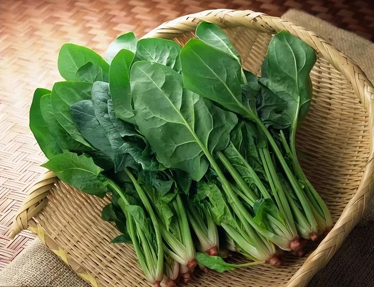 日本人不爱运动到什么地步,不爱运动的日本怎么这么长寿