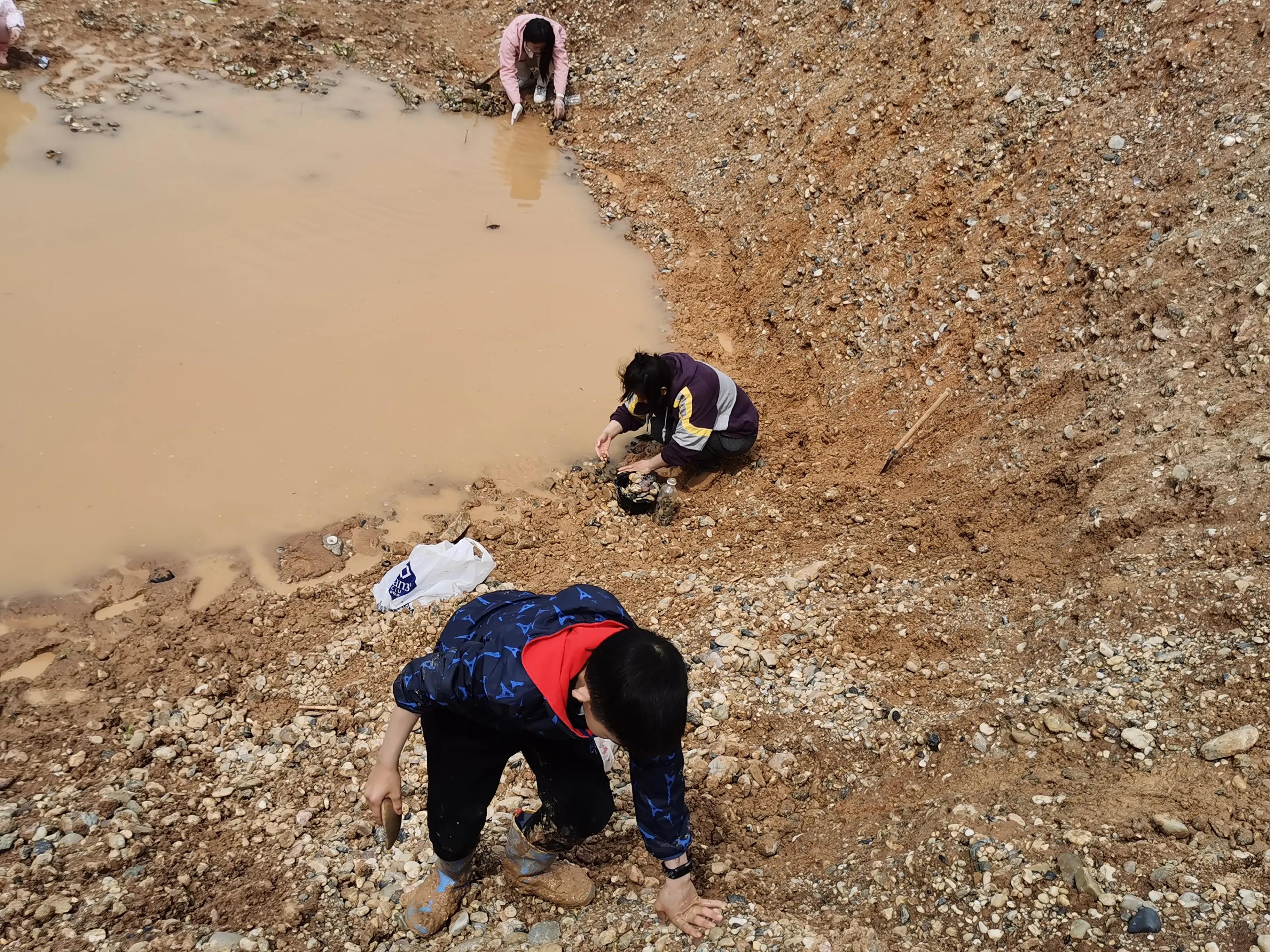 六合雨后捡雨花石,雨后捡雨花石