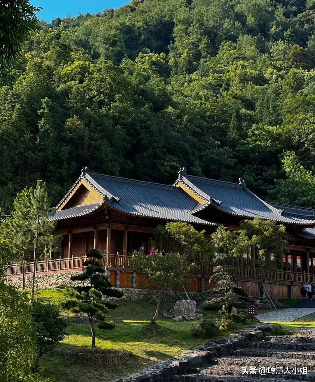 一场烟花登顶热搜！满城美食火成顶流，这座夏日小城太宝藏了！