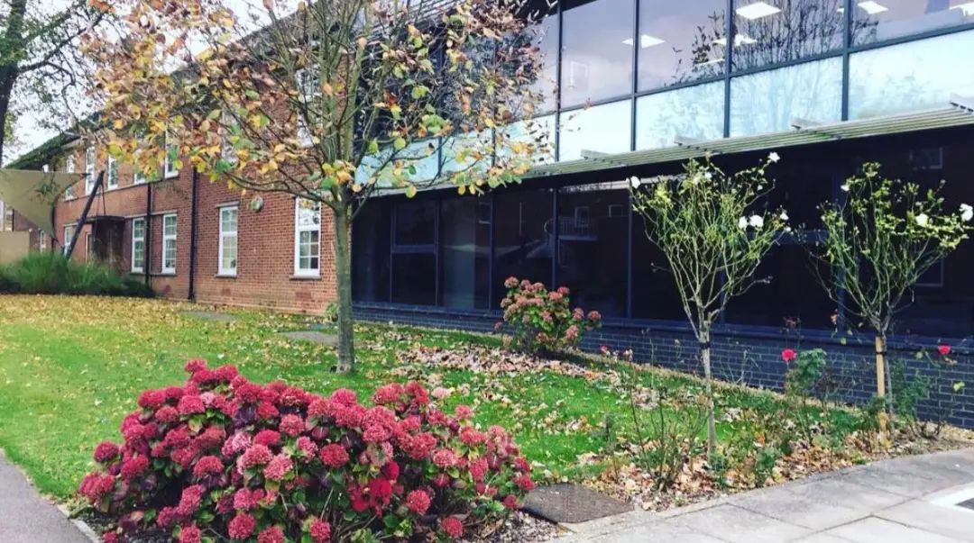 近十年就业率最高的专业排名,未来十年就业前景好的专业排名