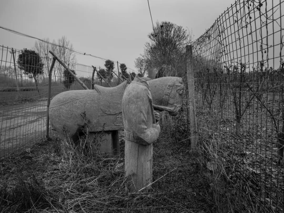 中国街拍最新头条,中国街拍每日一图
