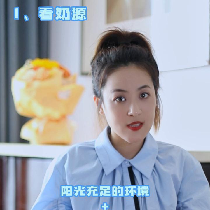 奶粉行业秘密,奶粉内幕揭秘