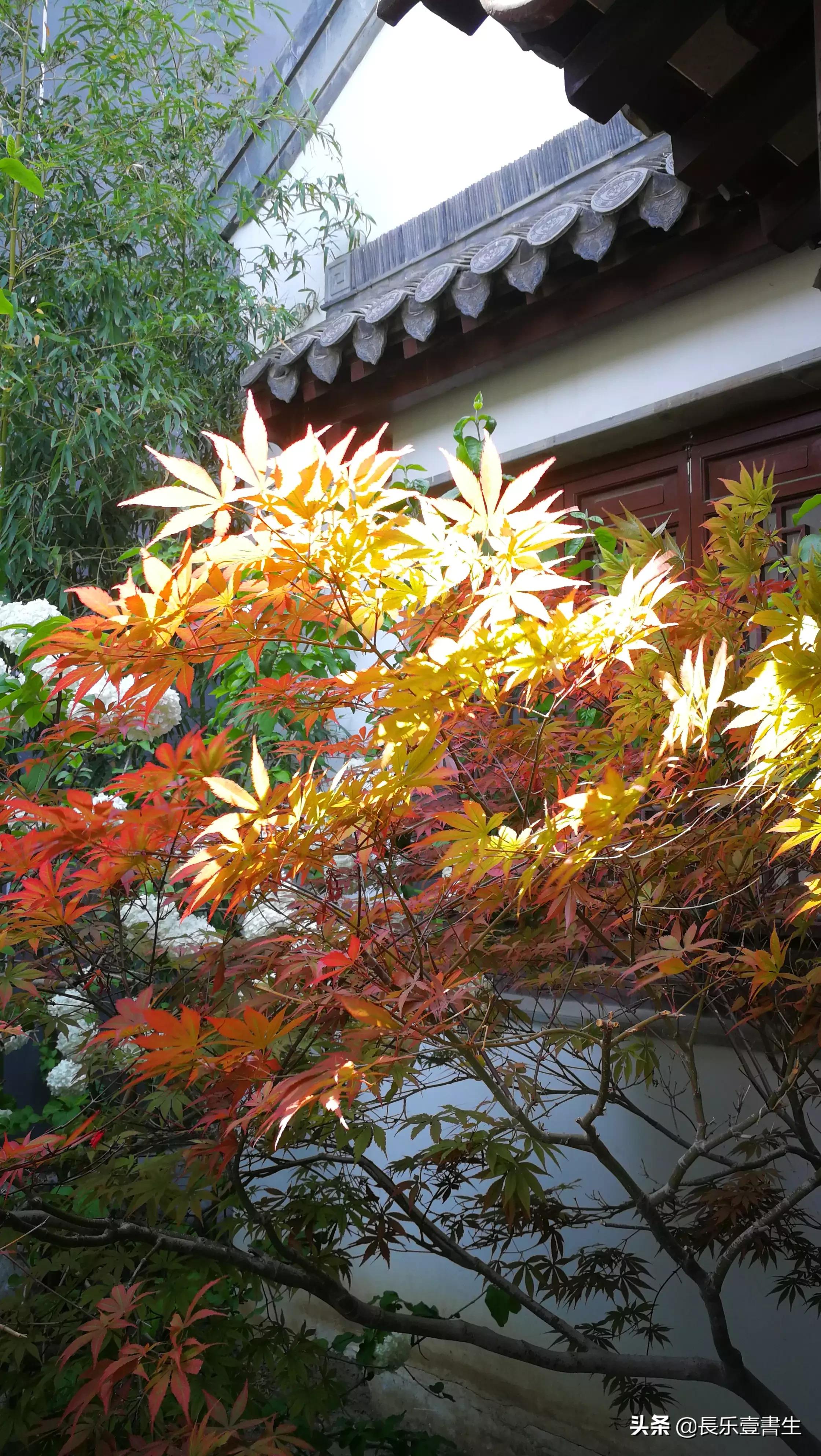 中国园林博物馆游览时间表,小众游玩强烈推荐北京园林博物馆