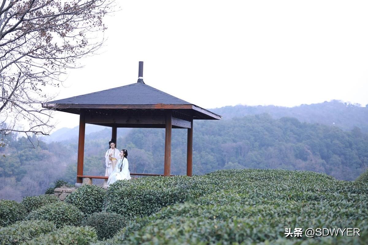 四个数的等差数列计算,等差数列累加的算法