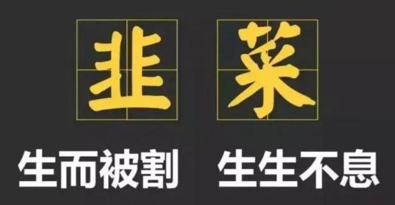 散户为什么炒股,散户为什么喜欢短线