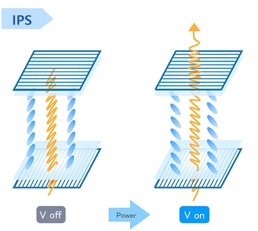 显示器ips面板和tn差别到底有多大,tn显示器和ips显示器哪个好