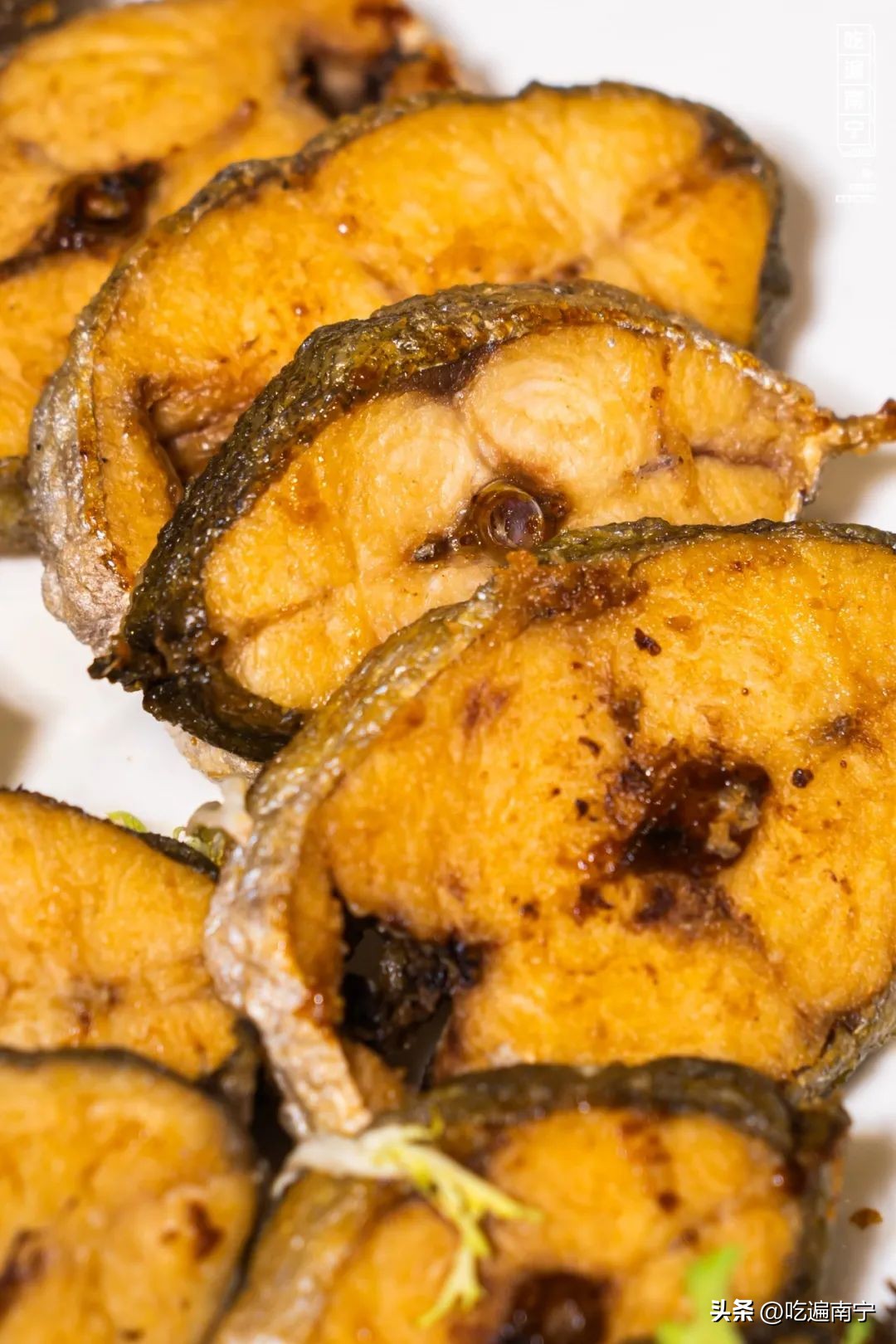 自家渔船海鲜自助,假期实现海鲜自由