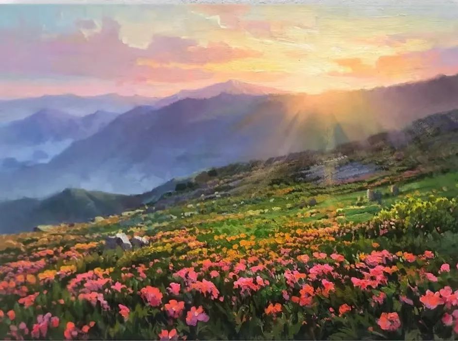 9002价格,9009房间