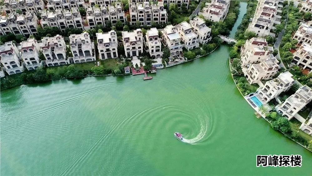 大亚湾临深第一梯队龙光城,惠州临深龙光城独栋别墅