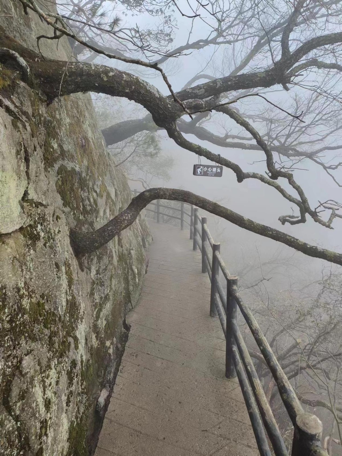 尧山大佛简介,尧山大佛景区
