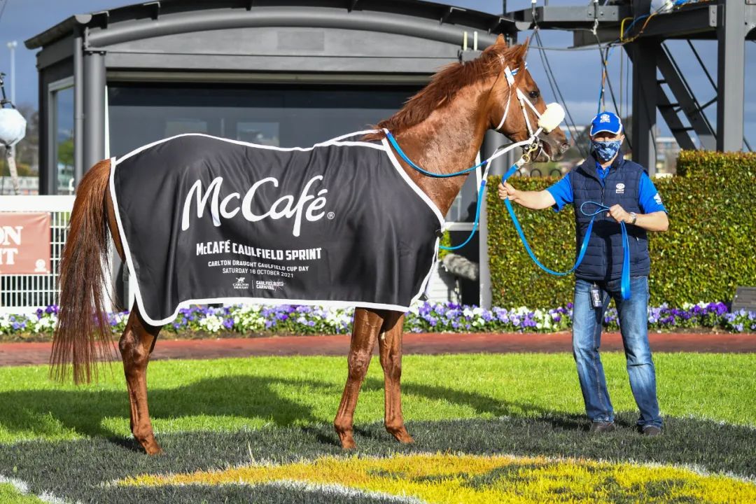 鍘熸潵鐨勮寘鍙伴厭,涓変竴閲嶅伐鑼呭彴