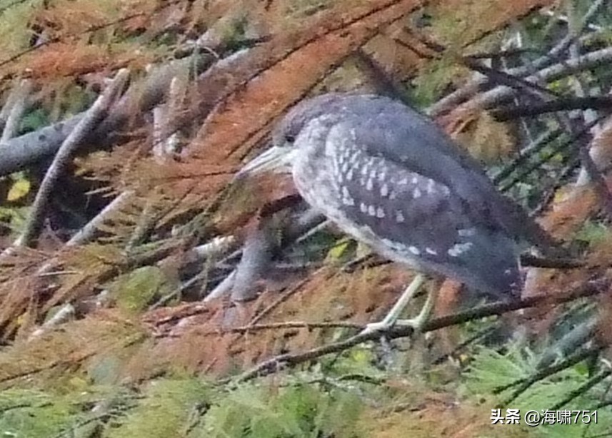黄花岗公园开放时间,黄花岗公园停车