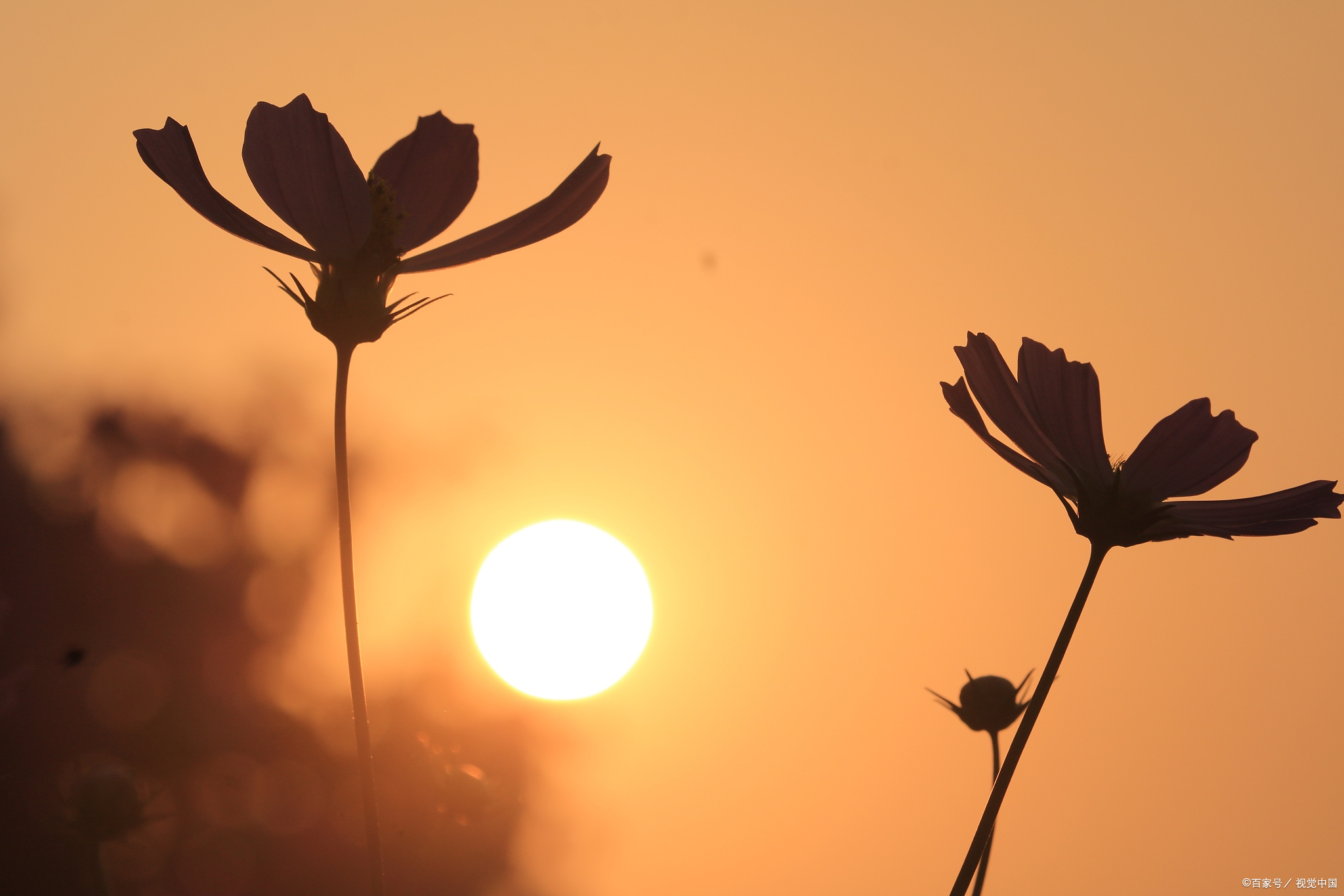 小说《锅伙》（19）：逃荒遇故交