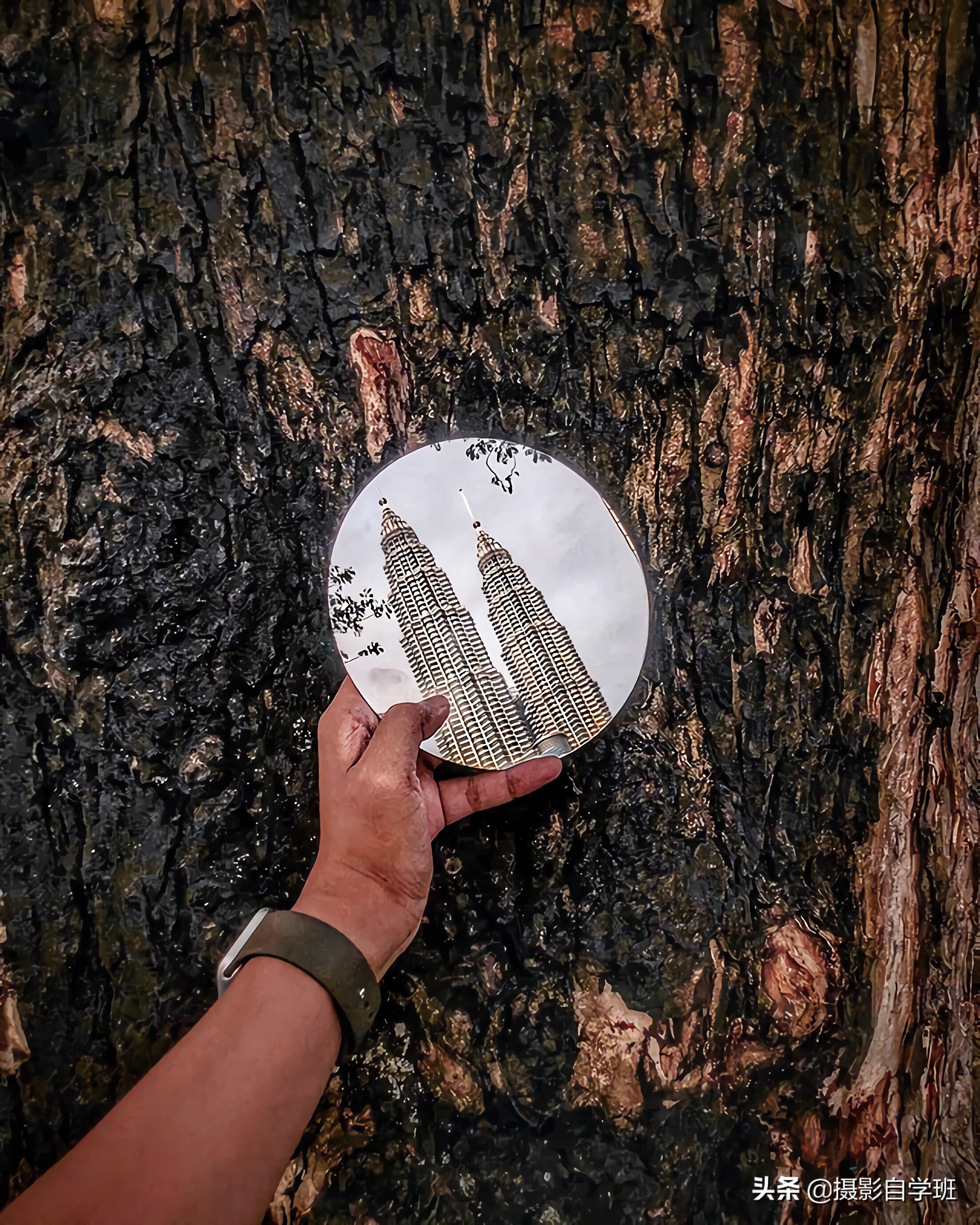 摄影技巧如何才能拍出好看的照片,摄影技巧如何拍出照片效果